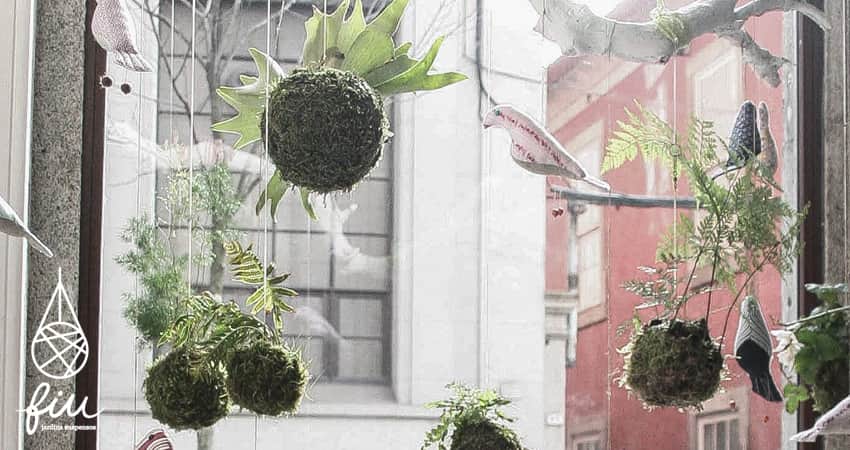 FIOS - Jardins Suspensos