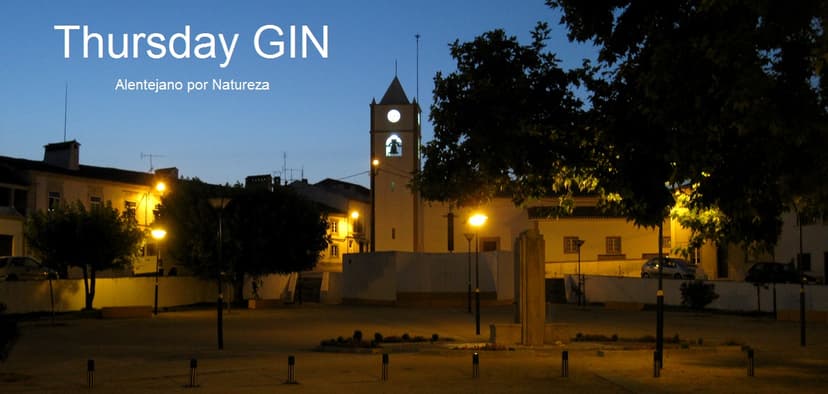 Thursday Gin 4
