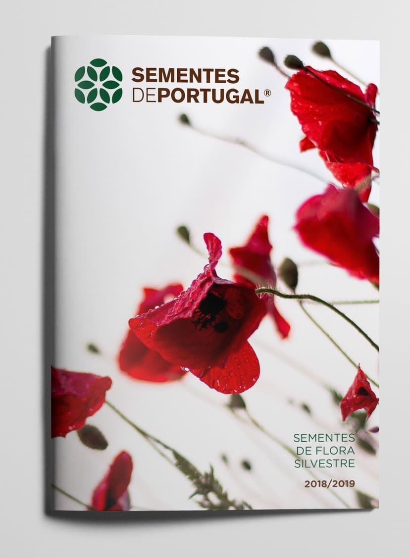 Sementes de Portugal 4