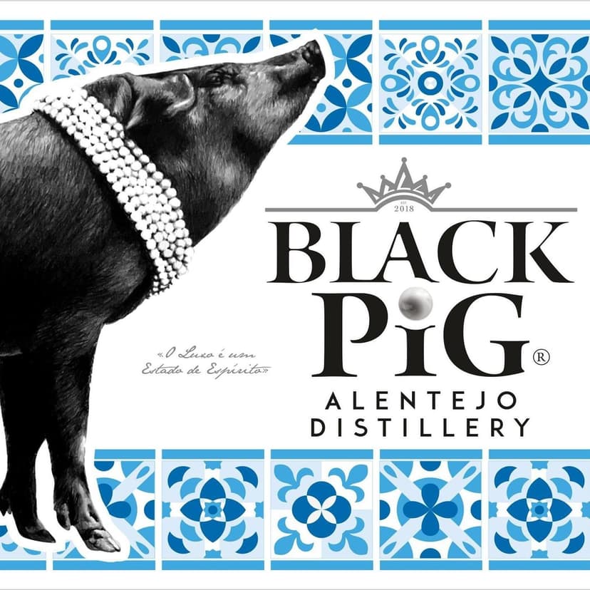 Black Pig 4