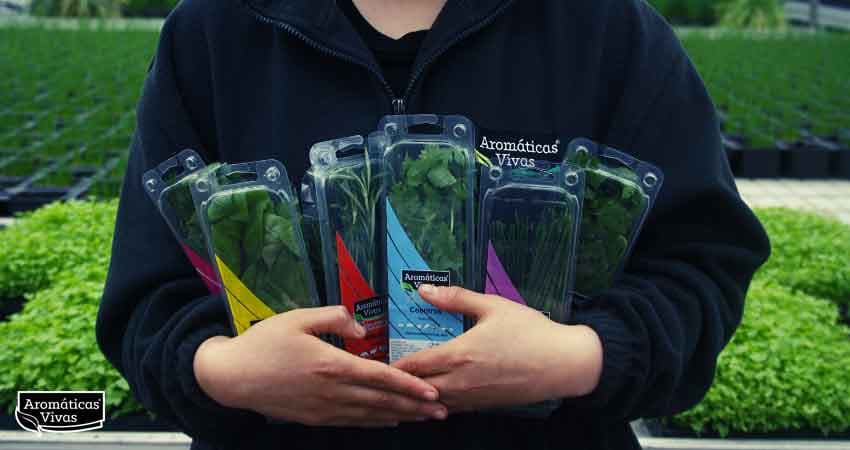 Aromáticas Vivas
