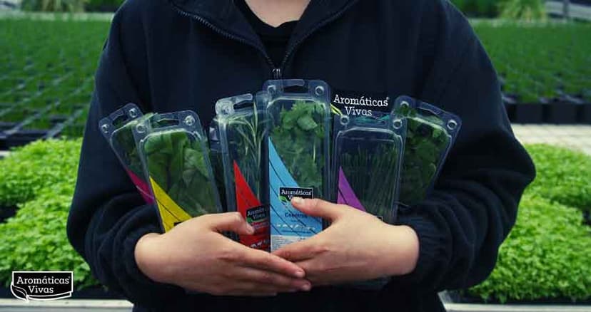 Aromáticas Vivas