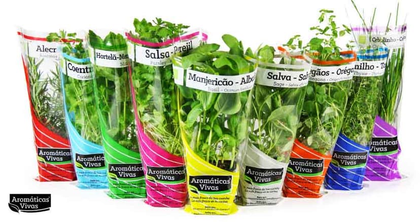 Aromáticas Vivas 1