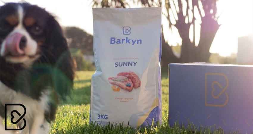 Barkyn