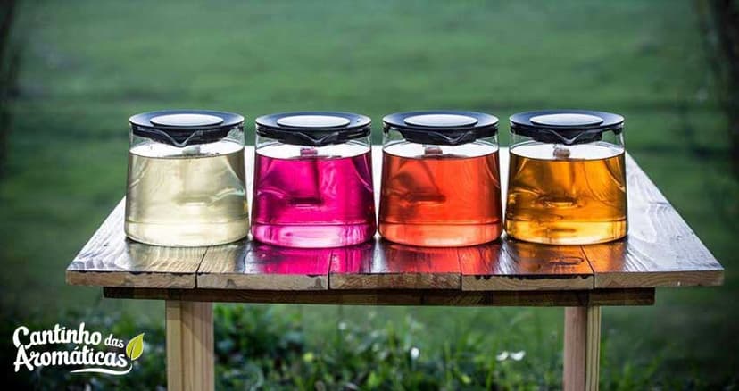 Cantinho das Aromáticas 1