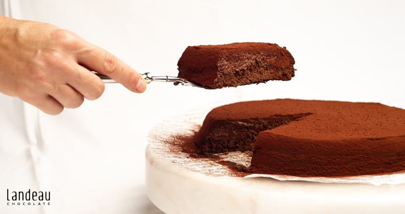 Landeau Chocolate 1