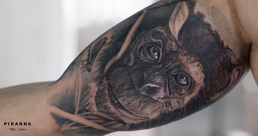 Piranha Tattoo Studios