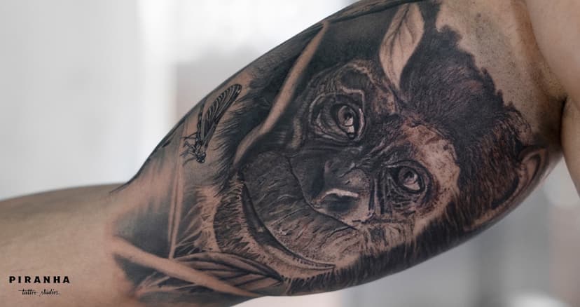 Piranha Tattoo Studios