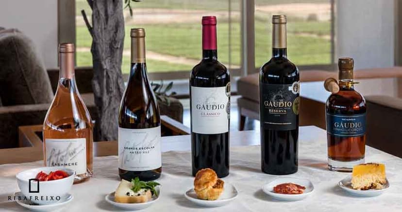 Ribafreixo Wines 2