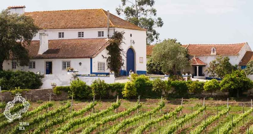 Serra Oca 2
