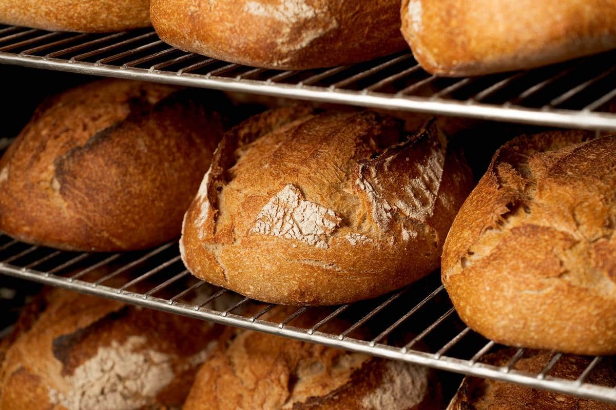 Gleba — marca portuguesa de produtos biológicos