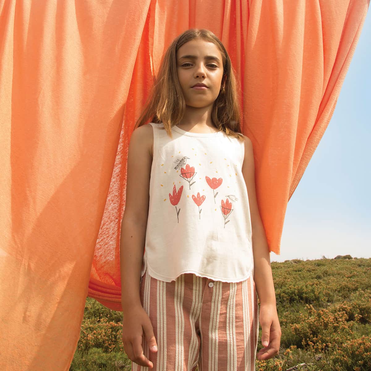 Barn of Monkeys — image 2